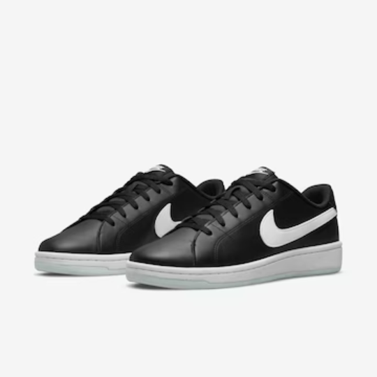 Tênis Nike Court Royale 2 Next Nature Masculino